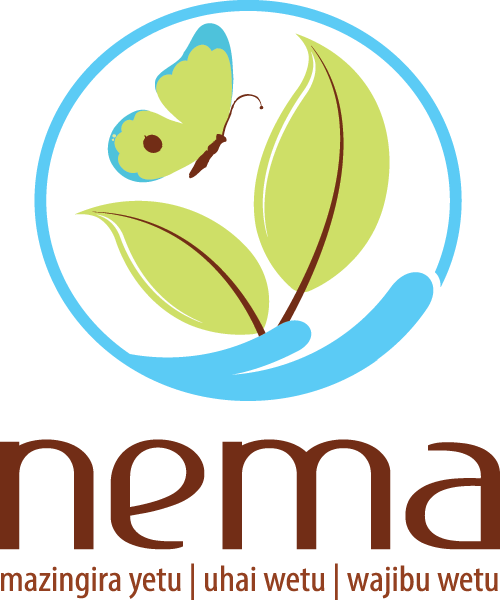 National Environment Management Authority (NEMA)